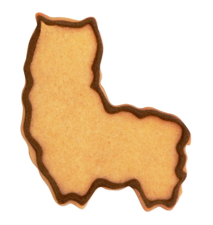 Ciasteczko-z-foremki-w-kształcie-alpaki.jpg