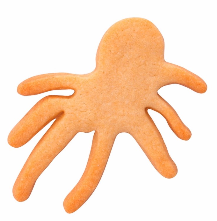 Ciasteczko z foremki w kształcie pająka