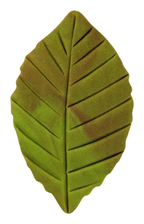 Foremka-w-kształcie-liścia.jpg