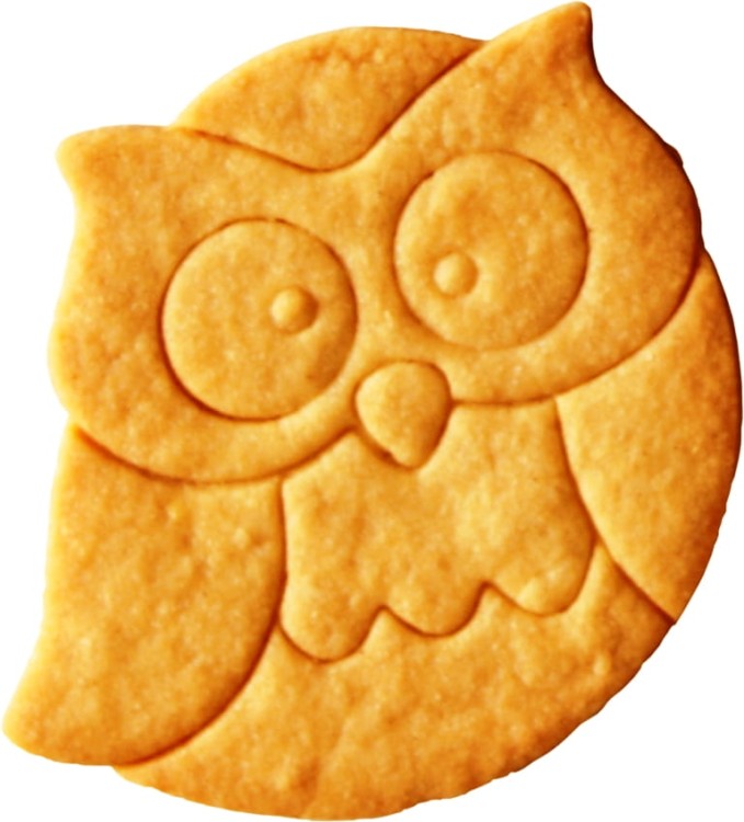 Ciasteczko-z-foremki-sowa.jpg