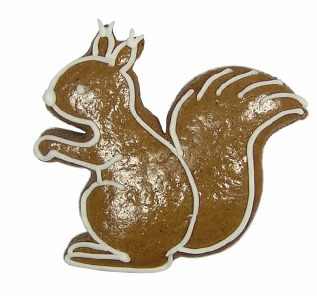 Foremka-do-ciastek-wiewiorka.jpg