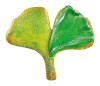 Ciasteczko-listek-Ginkgo-Biloba.jpg