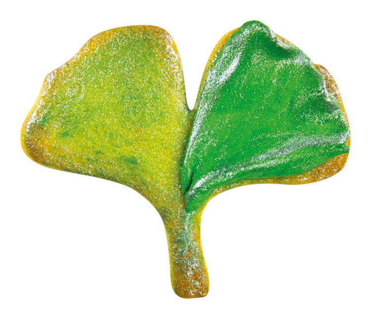 Ciasteczko-listek-Ginkgo-Biloba.jpg