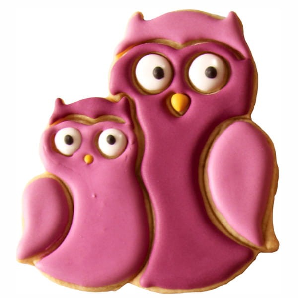 Ciasteczko wykrojone foremką w kształcie sowy