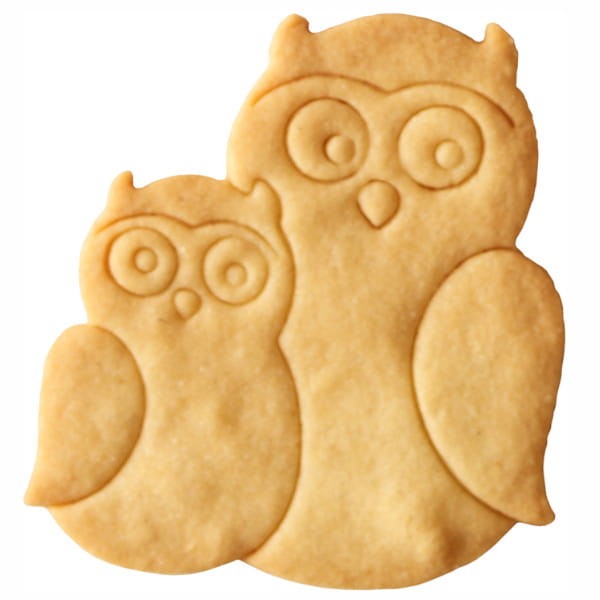Ciasteczko z foremki sowa