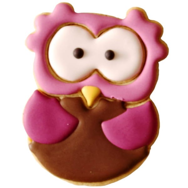 Udekorowane ciasteczko wycięte foremką sowy