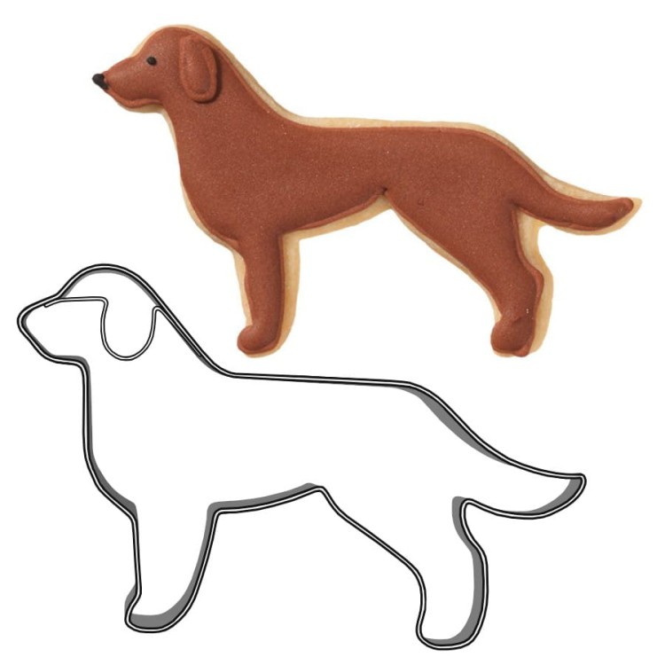 Foremka i ciasteczko pies Golden Retriever