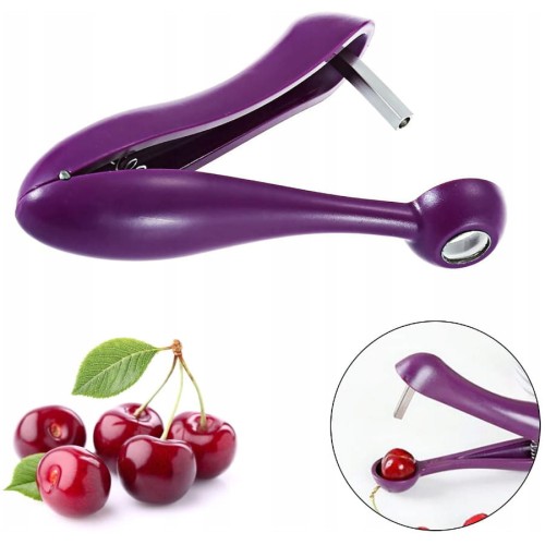 Drylownica do czereśni