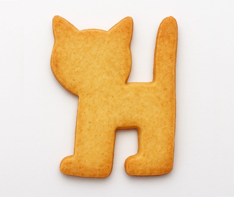 Ciasteczko z foremki kot