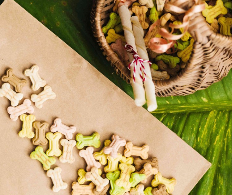 Ciasteczka z foremki mała kość